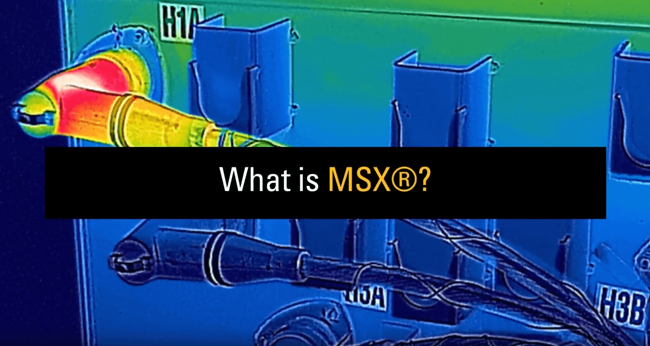 ¿QUÉ ES FLIR MSX®?